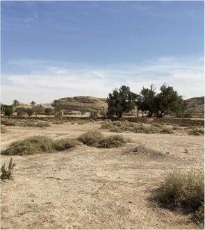 WADI AL SULAI DISTRICT